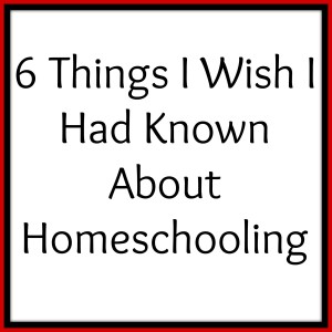 6 Things I Wish I Had Known About Homeschooling